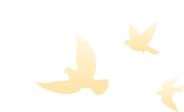 官宣！徐州3000万购车补贴、51099万消费让利(图2)