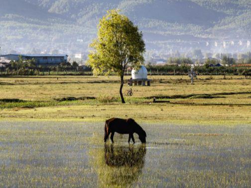 云南六天五晚跟团游报价2025靠谱旅行社排名及避坑指南攻略(图3)