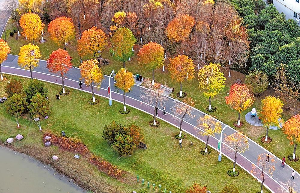 济源示范区党工委关于制定济源国民经济和社会发展第十五个五年规划的建议(图2)