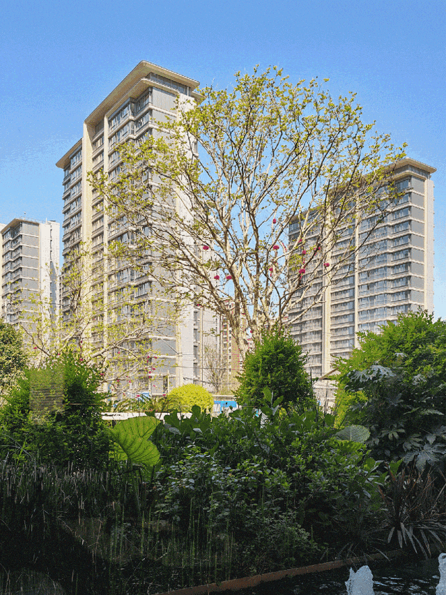 中环桃源里售楼处电话(中环桃源里)首页网站-营销中心欢迎您-楼盘详情最新价格-户型图-容积率(图11)