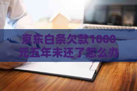京东白条欠款1000元五年未还了怎么办(图1)