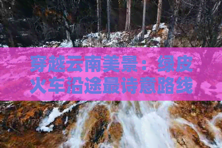 云南有绿皮火车去旅游(图5)